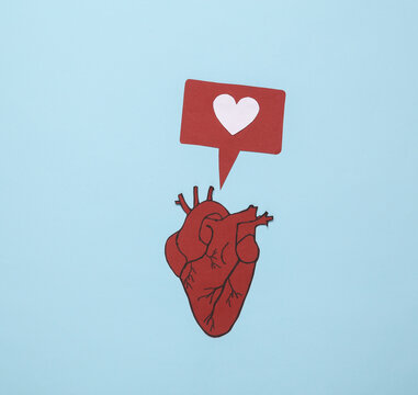 Anatomical heart and like icon on a blue background. Heart health concept