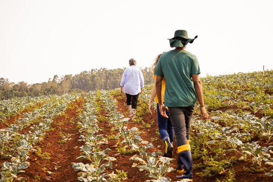 Fam√≠lia Andando Pela Planta√ß√£o