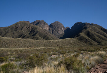 Panorama view of the green grassland and hills under a deep blue sky in a summer sunny day.	
