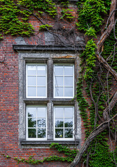 Fototapeta na wymiar Window of an old brick country house in England 