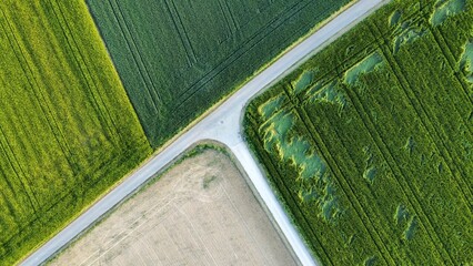 Landscape agriculure Farmland with way viewing from abov