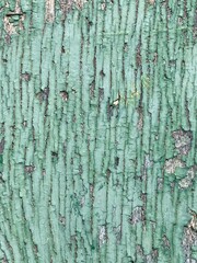 türkis grün abblätternde verwitterte Farbe auf Holz, Verlauf senkrecht, Struktur, Hintergrund