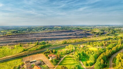 view of a vineyard