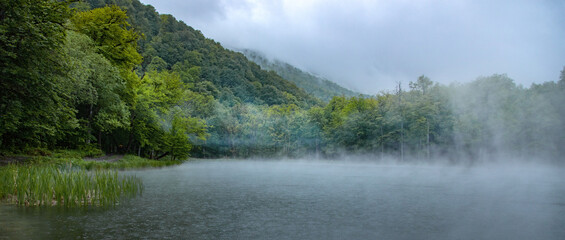 Fototapeta na wymiar Foggy lake view with trees