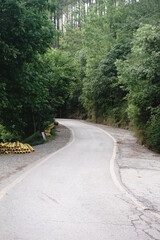 winding road in the mountains
