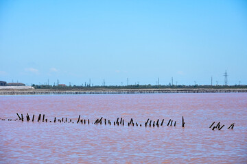 Fototapeta premium Pink Salt Lake in Crimea-Sasyk-Sivash