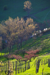 Primavera in Emilia Romagna