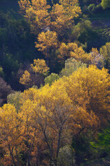 Paesaggio di primavera in Emilia Romagna