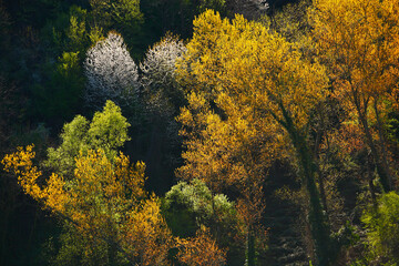 Paesaggio di primavera in Emilia Romagna