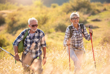 Active senior Caucasian couple hiking in mountains with backpacks and hiking poles, enjoying their...
