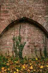 Kamienna ściana porośnięta roślinnością. Część zamku Marienburg, Dolna Saksonia.