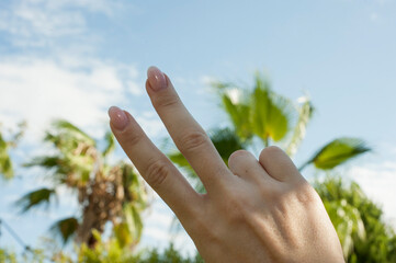 Hand on the sky and palms background