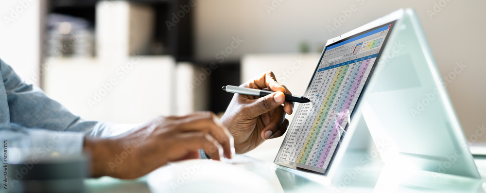 Poster electronic spreadsheet analyst or auditor using software