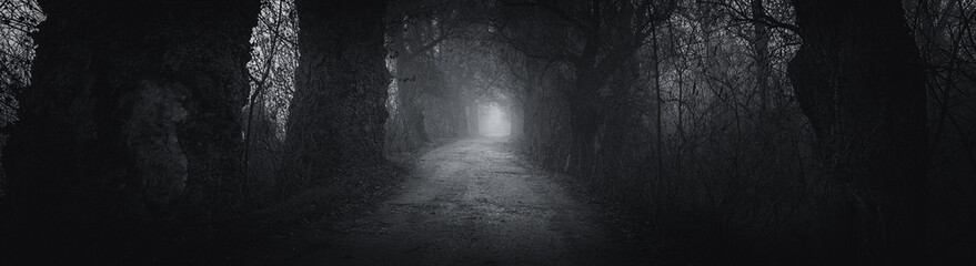 Creepy dark landscape showing road through forest on a misty dark autumn day	