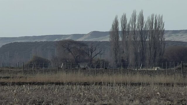  "Bardas" (Cliffs) near Gaiman, in the Arid Argentine Patagonia, Chubut Province, Argentina. 