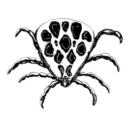 Ink Drawing Tick on white background