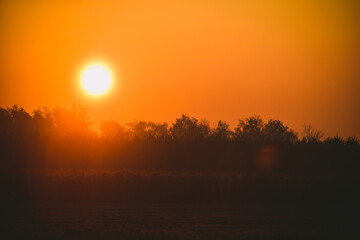 Obraz premium misty sunrise