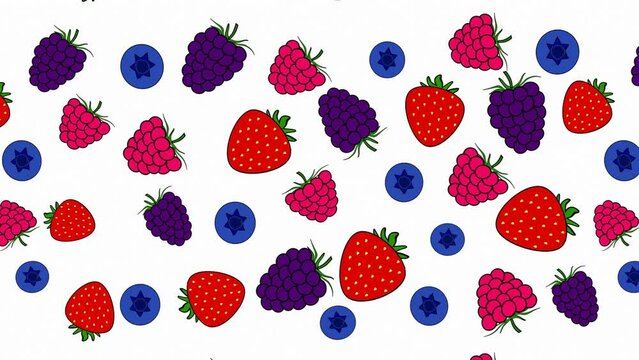 Variety of vector berries isolated on white background