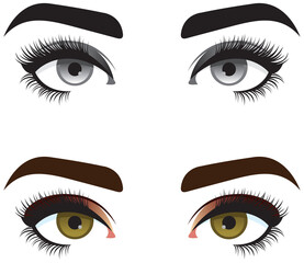 Close up stylized image of female eyes. Women eyes with long eyelashes and perfect eyebrows. Promotion of eyelash and eyebrow extension. Vector black and white monochrome and full color image