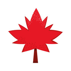 red maple leaf canadian