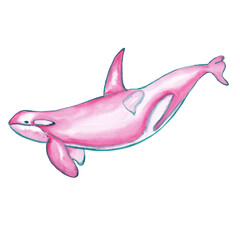 Watercolor killer whale clipart.  Orca whale illustration isolated on white. Hand painted animal clipart. Ocean, sea life creatures, marine, nautical decor in pink, blue and emeral green colors. 