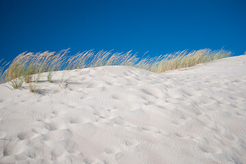 Sand dune with grass under blue sky