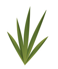Tropical plant icon. Beautiful green aloe branch with long leaves. Exotic flower. Environment and nature. Design element for posters. Cartoon gradient vector illustration isolated on white background