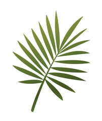 Tropical plant icon. Short green fern branch with leaves and shadows. Design element for websites and apps. Environment and nature. Cartoon gradient vector illustration isolated on white background