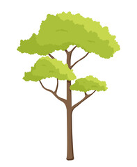 Green Tree icon. Tall poplar with beautiful green leaves in spring season. Environment and nature. Design element for websites and apps. Cartoon flat vector illustration isolated on white background