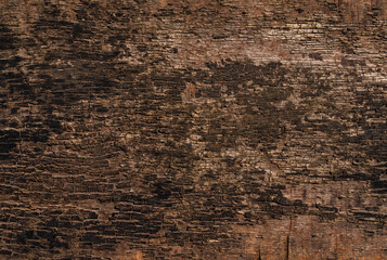 Brown wooden background, close-up wood structure