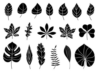 Leaves icons set. Flat black vector botanical elements. Beautiful isolated greens leaf. Organic object for frame, border, ornament divider. Great for greeting card. Silhouet eco collection.