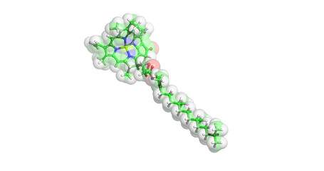 Chlorophyll A molecule