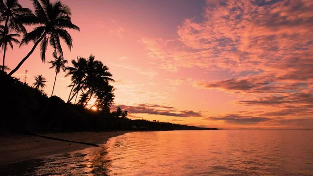 Golden sunrise over Fiji aerial footage of beach palm trees in tropical paradise