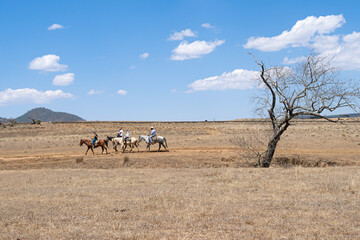 Fototapeta na wymiar Paseo en caballo por los campos de Tapalpa Jalisco México.