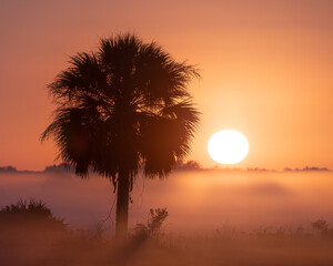 Fototapeta na wymiar Early morning sunrise on a foggy morning in Florida