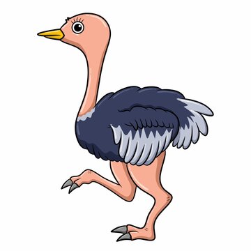 illustration of a cartoon ostrich