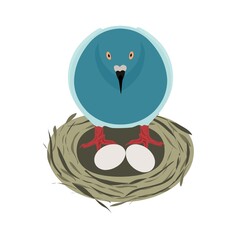 The female pigeon incubates its eggs in the nest. Vector illustration isolated on a white background.