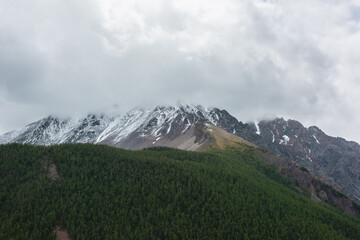 Dark atmospheric landscape with forest snow mountain in low clouds. Gloomy overcast scenery with high mountains with forest and snow under low lead gray sky. Bleak view to large snowy mountain range.