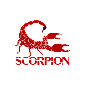 mascot logo, king of scorpions, unique and modern elegant design