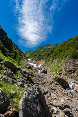 針ノ木岳　後立山連峰　雪渓