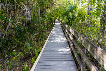 The Slew Walkway Beside Gator Lake, Six Mile Cypress Slough, Nature Preserve, Fort Myers, Florida, USA