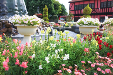 Fototapeta na wymiar 初夏の花が植えられた花壇。アンデルセン公園（千葉県船橋市にて）