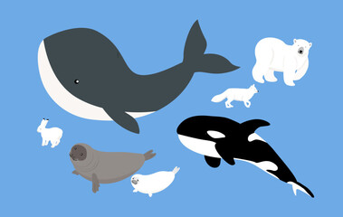 The arctic living things