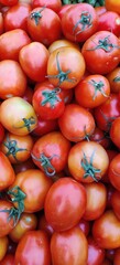 tomatoes in market