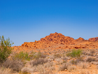 Sunny view of the landscape of Valley of Fire State Park