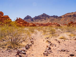 Sunny view of the landscape of Redstone Park