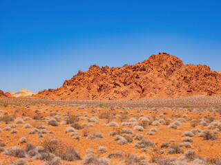 Sunny view of the landscape of Valley of Fire State Park