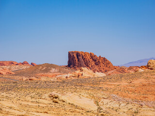 Fototapeta premium Sunny view of the landscape of Valley of Fire State Park