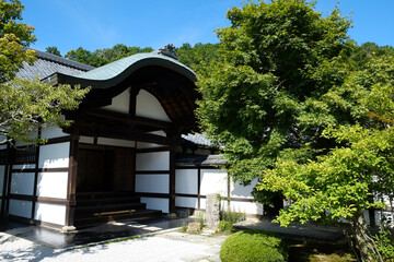 初夏の圓光寺の境内風景