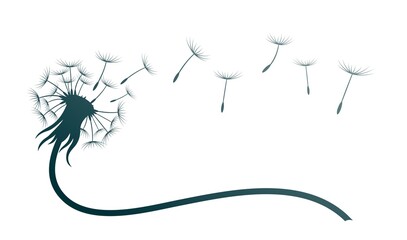 The symbol of field dandelion flower with flying seeds. 
